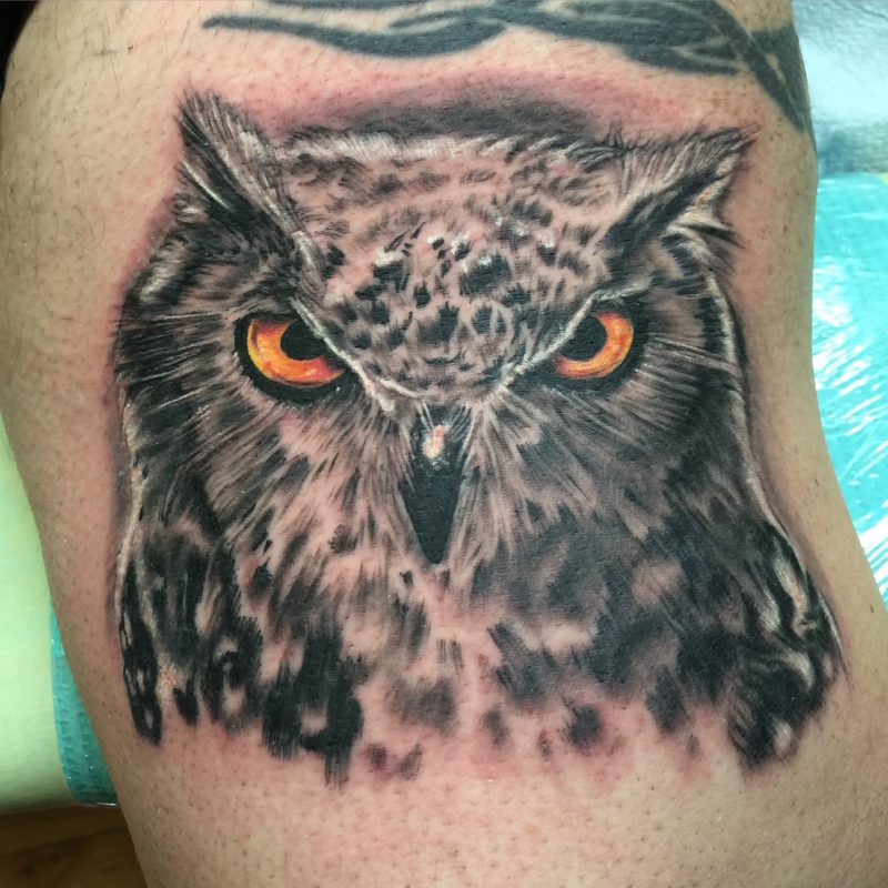owl-portrait-tattoo-orange-eyes-black-gray-frank-luca-vatican-tattoo